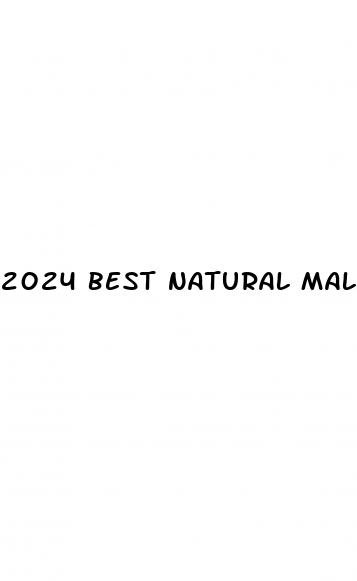 2024 best natural male enhancement pills