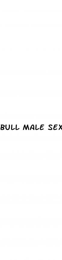 bull male sex pill