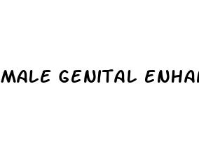 male genital enhancement