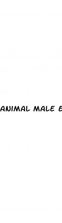 animal male enhancement reviews