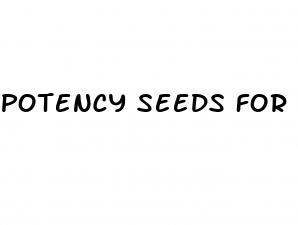 potency seeds for erectile dysfunction