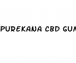 purekana cbd gummies for alcohol