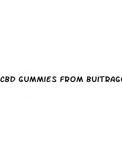 cbd gummies from buitrago cigars