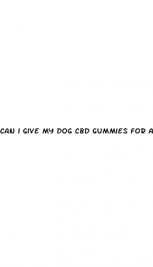 can i give my dog cbd gummies for anxiety