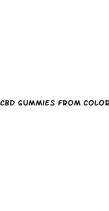 cbd gummies from colorado on line