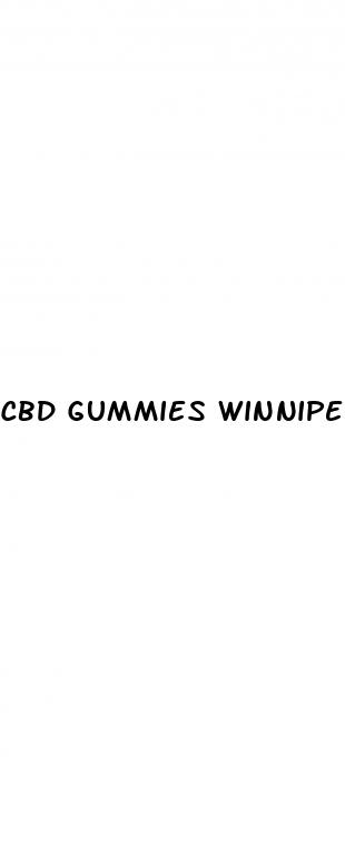 cbd gummies winnipeg