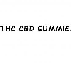 thc cbd gummies for beginners