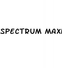 spectrum maximum strength cbd gummies 300mg