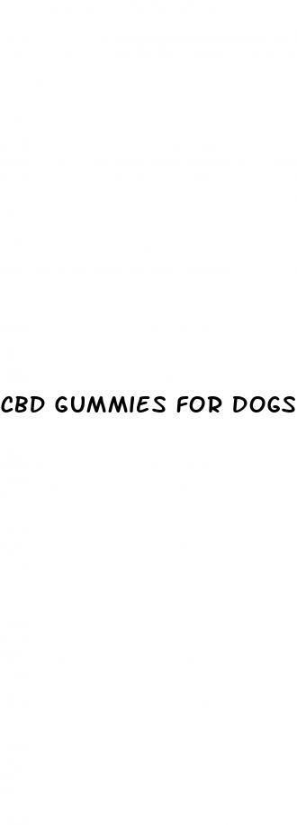 cbd gummies for dogs in pain