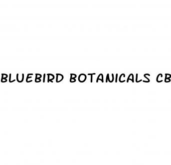 bluebird botanicals cbd gummies review