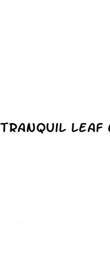 tranquil leaf cbd gummies cost