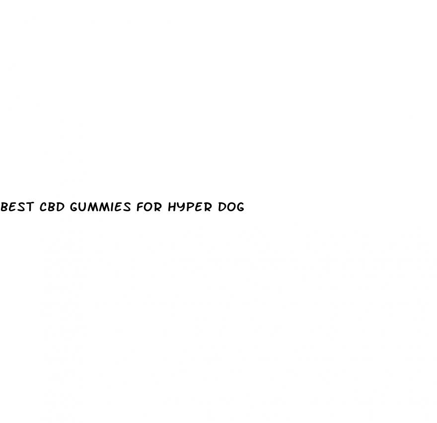 best cbd gummies for hyper dog