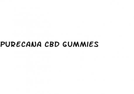 purecana cbd gummies