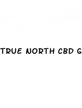 true north cbd gummies precio