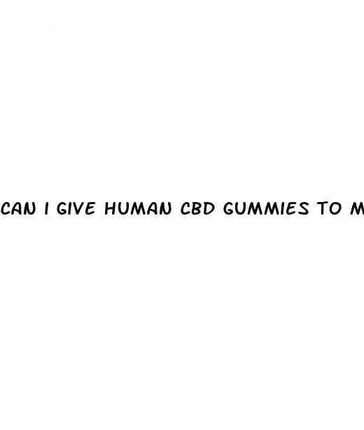 can i give human cbd gummies to my dog