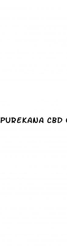 purekana cbd gummies for dementia