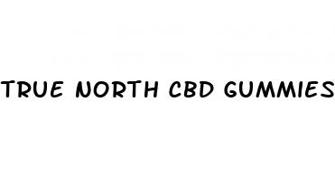 true north cbd gummies for sale