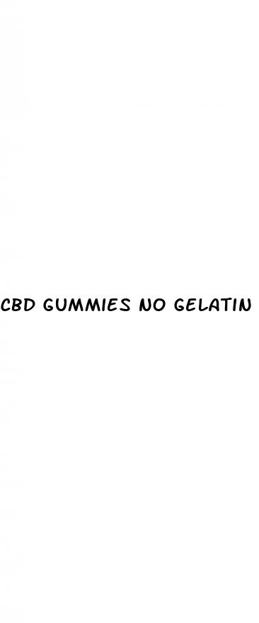 cbd gummies no gelatin