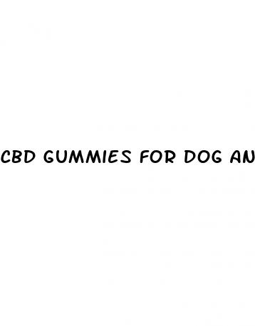 cbd gummies for dog anxiety