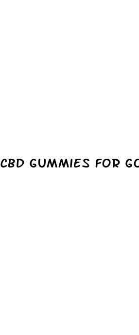 cbd gummies for gout pain