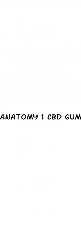 anatomy 1 cbd gummies