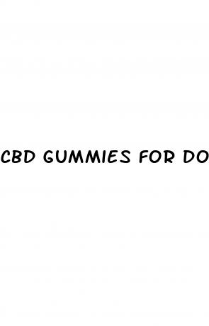 cbd gummies for dogs with separation anxiety