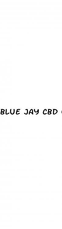 blue jay cbd gummies