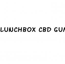 lunchbox cbd gummies relief