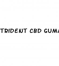 trident cbd gummies cost