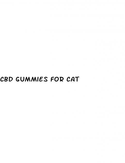 cbd gummies for cat