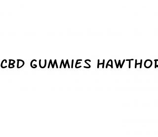 cbd gummies hawthorne