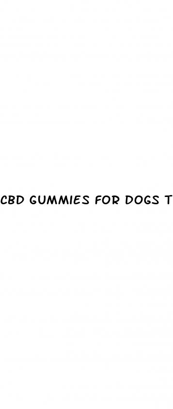 cbd gummies for dogs target