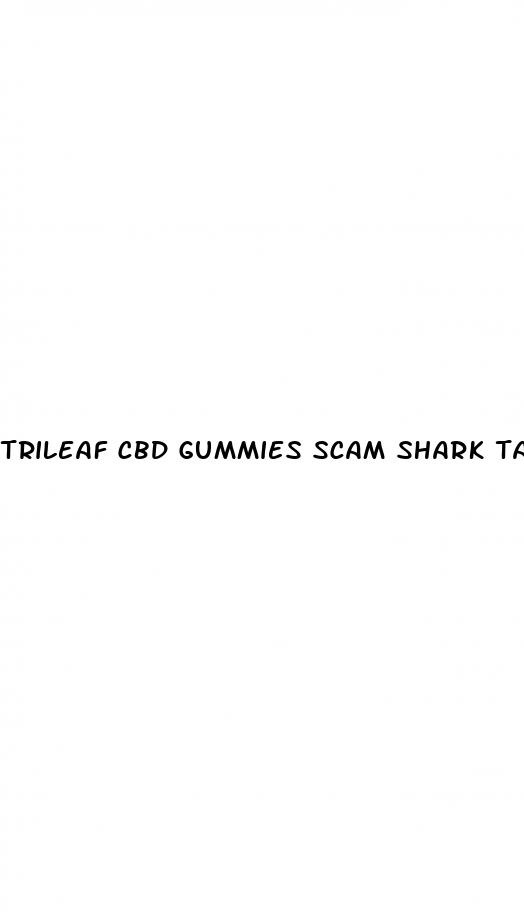 trileaf cbd gummies scam shark tank