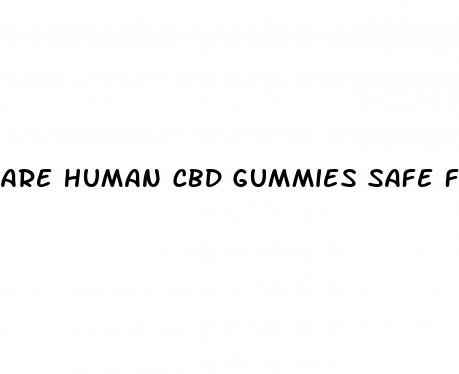 are human cbd gummies safe for dogs