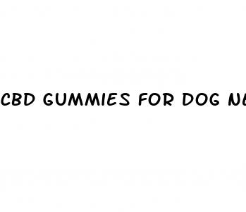 cbd gummies for dog nearby