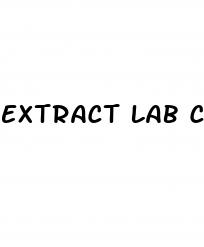 extract lab cbd gummies