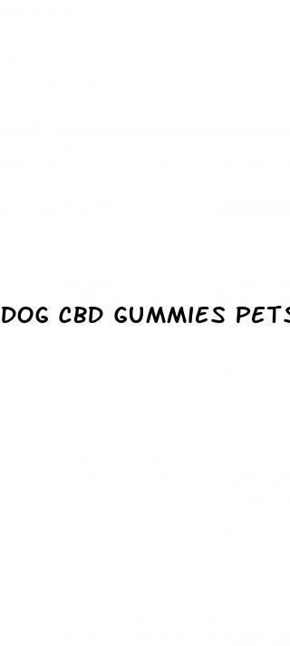 dog cbd gummies petsmart