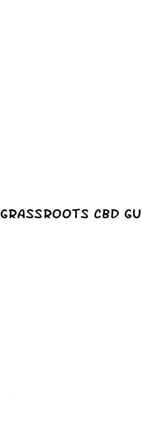 grassroots cbd gummies