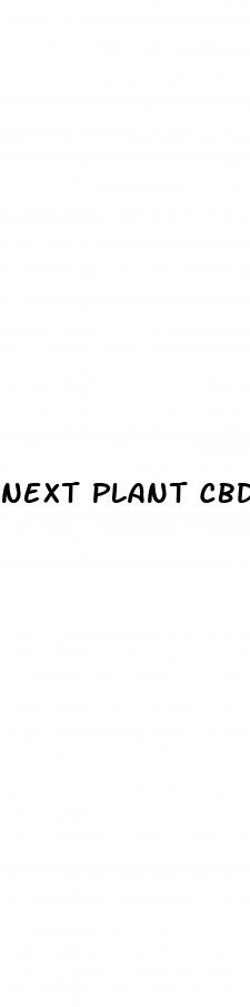 next plant cbd gummies