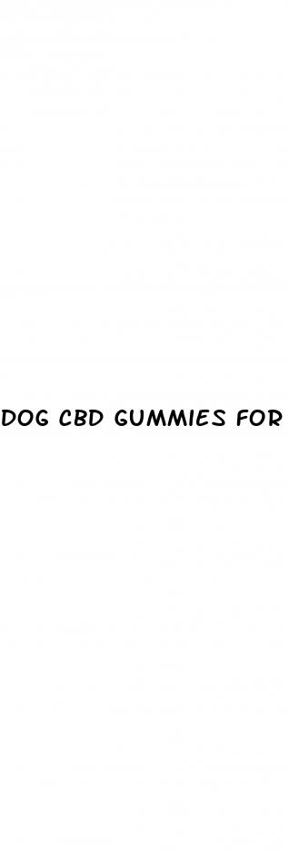 dog cbd gummies for calming