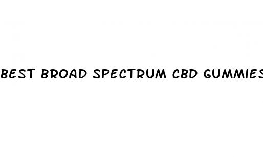 best broad spectrum cbd gummies 2024