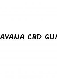 avana cbd gummies