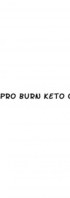 pro burn keto gummies review