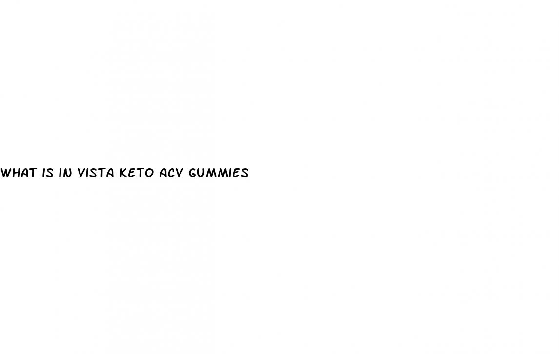 what is in vista keto acv gummies