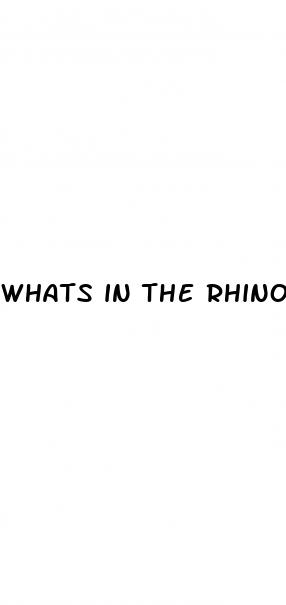 whats in the rhino pills