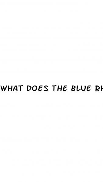 what does the blue rhino pill do