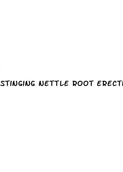 stinging nettle root erectile dysfunction