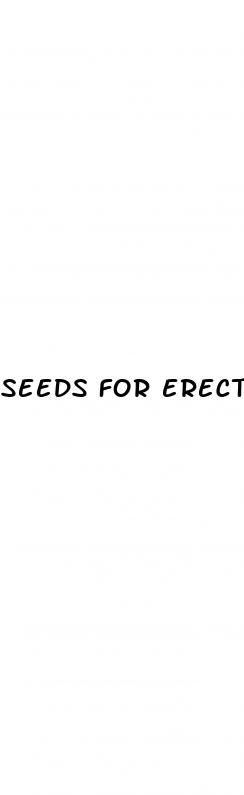 seeds for erectile dysfunction