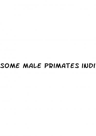 some male primates indirectly enhance their reproductive success by