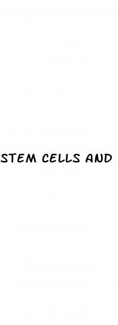 stem cells and erectile dysfunction